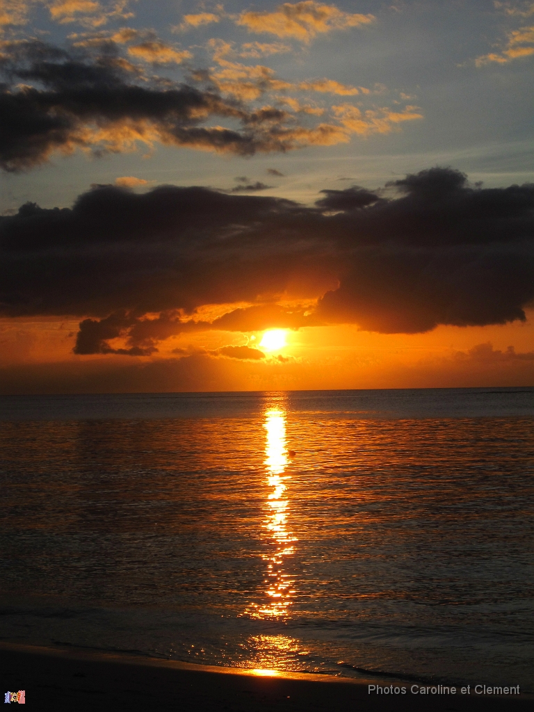 Ile Maurice Novembre 2016 37.JPG - Ile Maurice - Novembre 2016.                               